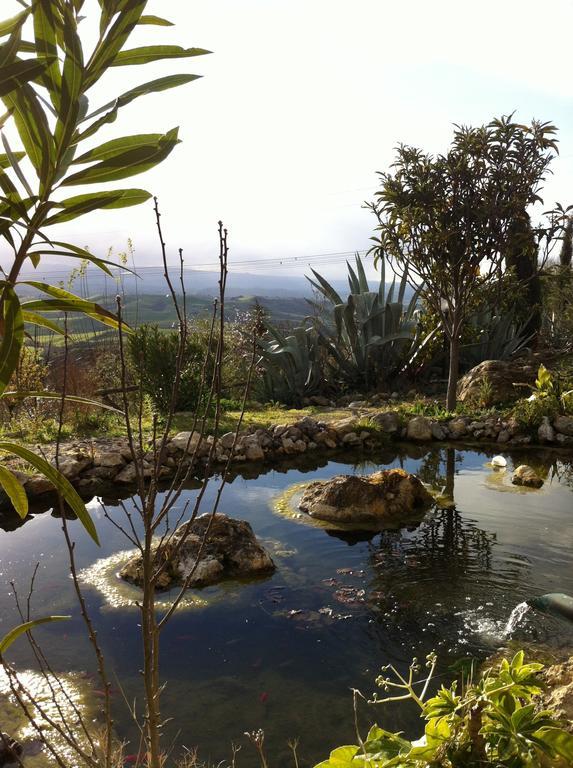 Podere Le Monache มอนตาโยเน ภายนอก รูปภาพ