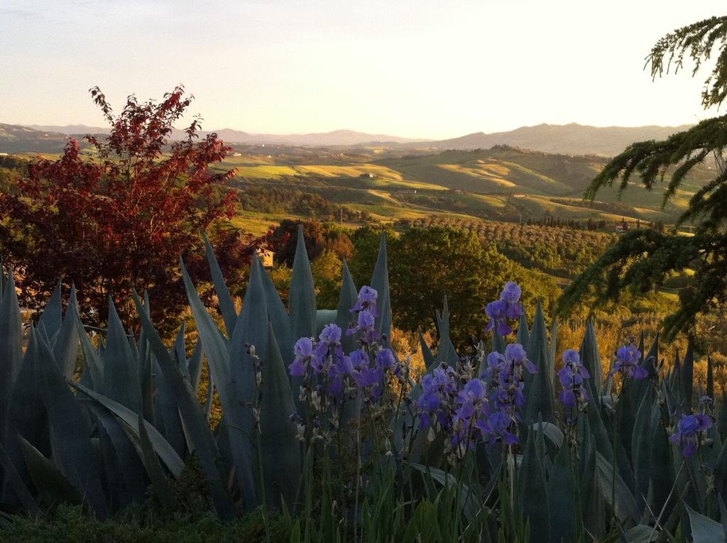 Podere Le Monache มอนตาโยเน ภายนอก รูปภาพ