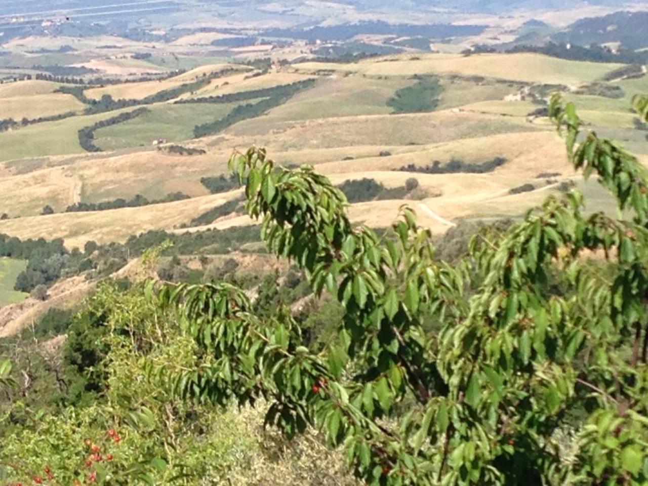 Podere Le Monache มอนตาโยเน ภายนอก รูปภาพ